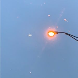 Meet your Posher, Faviola